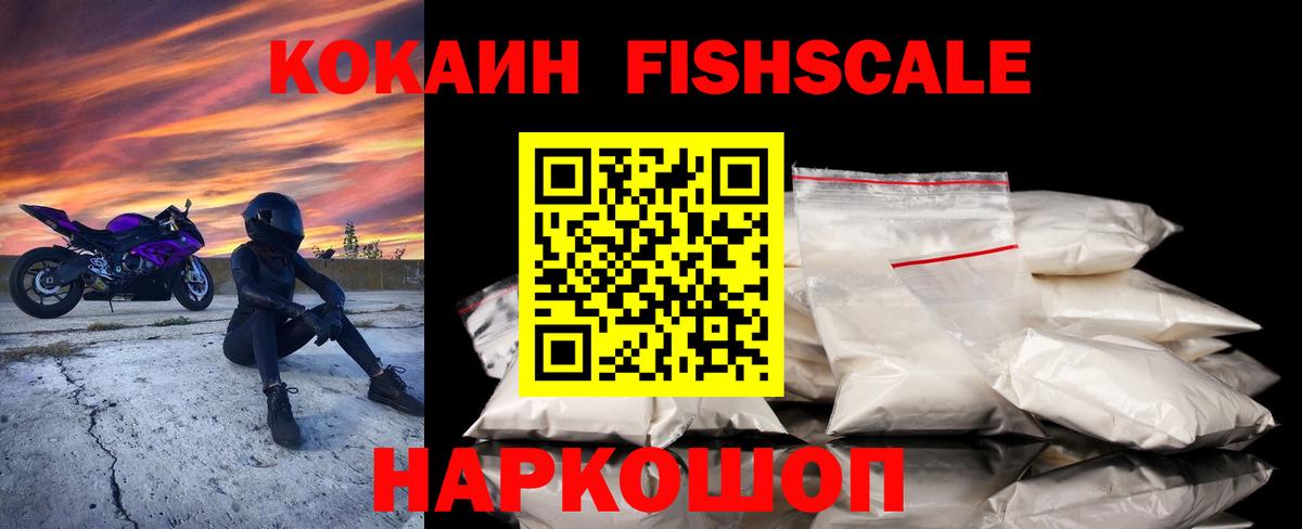 COCAIN Fish Scale  Вход с VPN  Щёкино 