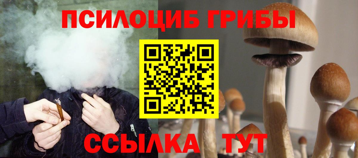 Щёкино  Галлюциногенные грибы Cubensis  Вход с VPN 